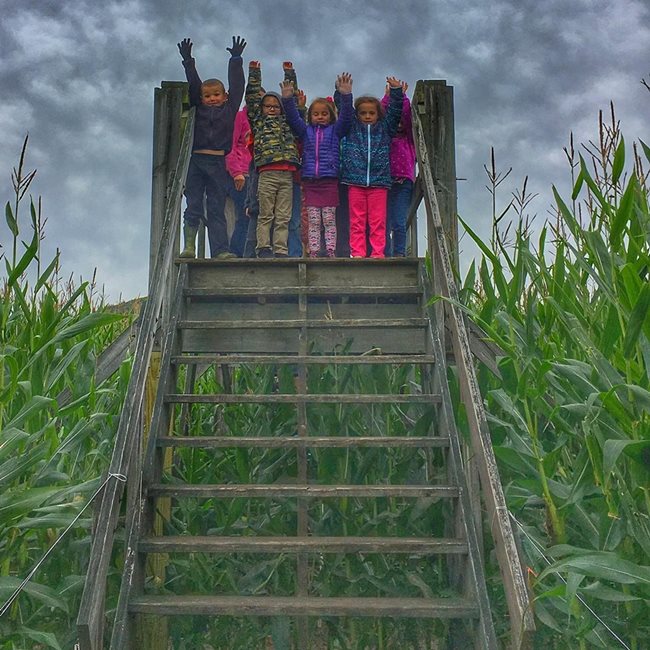 The Haunted Nighttime Corn Maze at Beans & Greens Farm is a Beautiful  Nighttime Walk (4 stars) - bostoneventsinsider