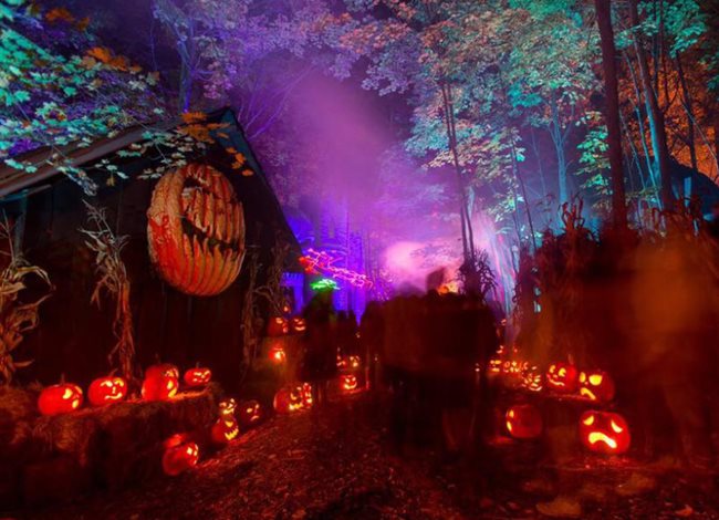 Haunted Overload is New England's Most Artistic Halloween Attraction (5  stars) - bostoneventsinsider